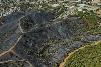Muğla Fethiye'deki orman yangını: Yaklaşık 50 hektar alan zarar gördü