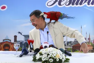 Araziler, tarlalar, konutlar: Murat Ağırel, Melih Gökçek'e ait taşınmaz kayıtlarını paylaştı