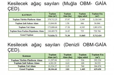 Binlerce ağaç kesilerek dikilecek RES'leri Orman Genel Müdürlüğü koruyacak!