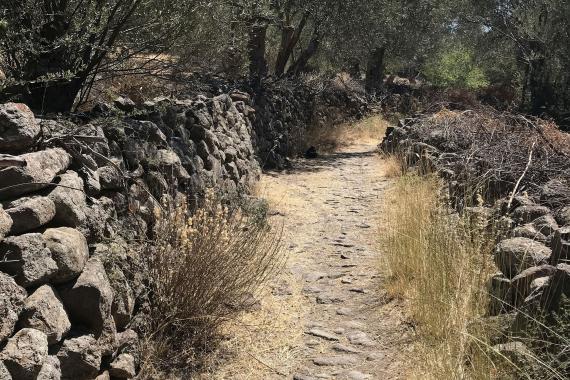 Ayvacık’taki antik yol yok olma tehdidi altında