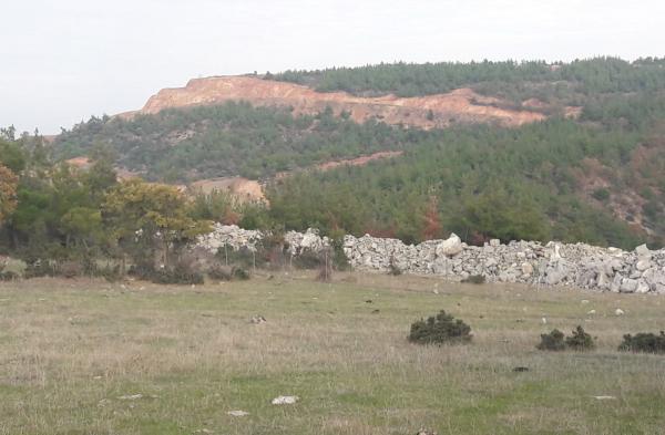 Kaz Dağları'nda ağaç katliamını görüntüsü.