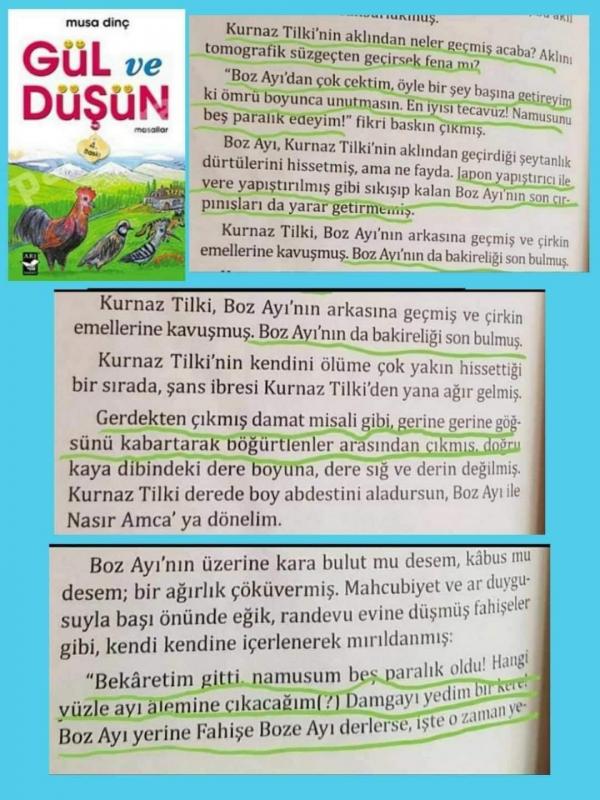 Musa Dinç'in Gül ve Düşün adlı kitabının kapağı ve tecavüzü anlattığı kısmın ekran görüntüsü.