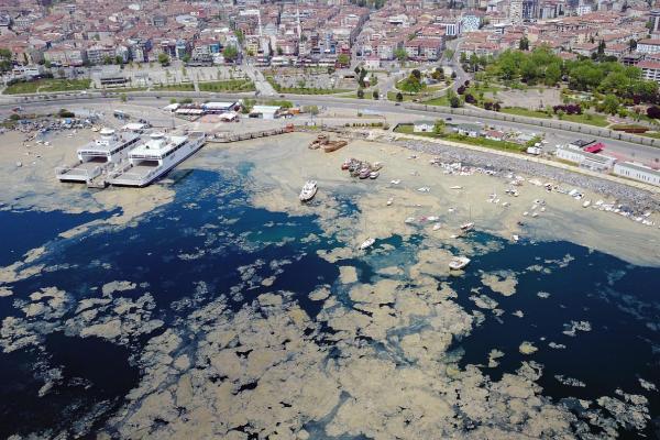 Marmara Denizi yüzeyini kaplayan deniz salyası