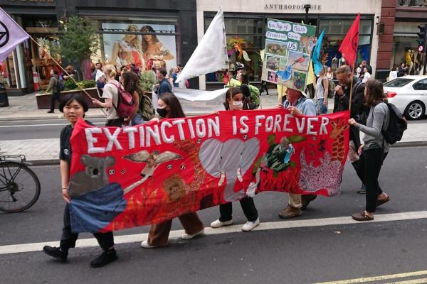 Londra'da Extinction Rebellion (XR-Yokoluş İsyanı) protesto eylemlerinden bir fotoğraf.