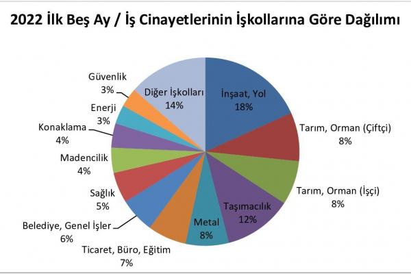 2022 ilk 5 ay - İş cinayetlerinin işkollarına göre dağımı grafiği