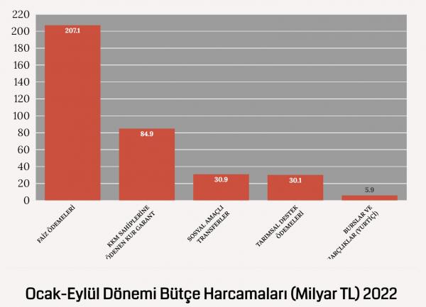 Bütçe ödemeleri