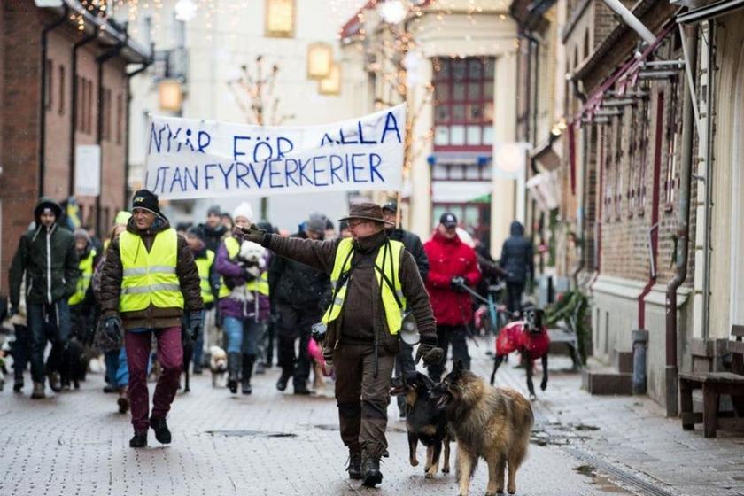 İsveç'te köpekli havai fişek protestosu