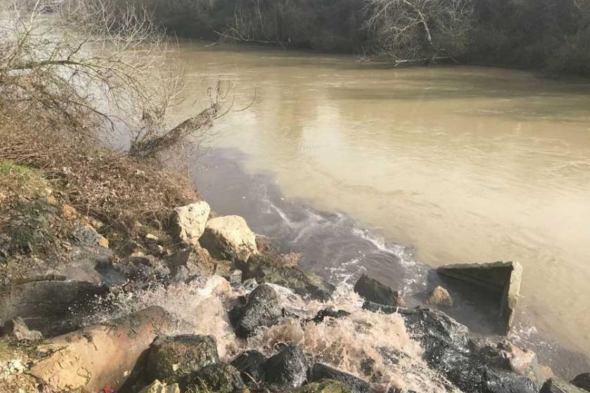 Sakarya Nehri, OSB’den dökülen atıklarla kirlendi