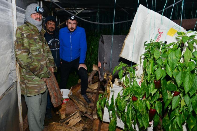 Antalya'da üreticiler ‘don’ nöbeti tuttu