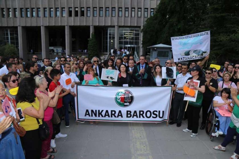 Ankara Barosu: Hayvanlara yönelen şiddet akıl dışı boyutlara ulaştı