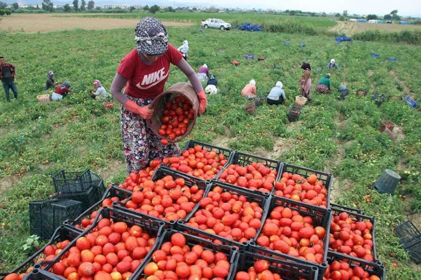 Gürer, tarımsal sorunlar için Meclis araştırması açılmasını talep etti