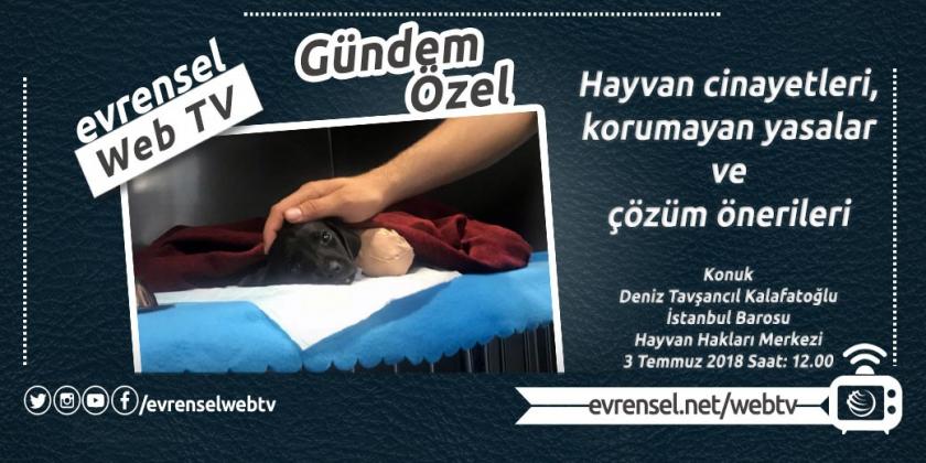Kalafatoğlu: İki yılın altında verilecek cezalar yetersiz