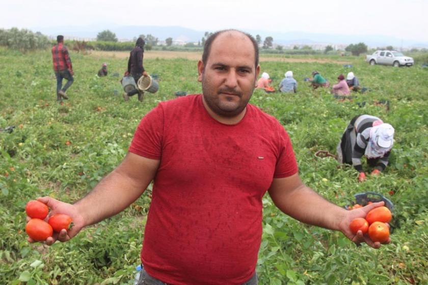 Türkiyeli ve Suriyeli tarım işçilerinin birliği sonuç verdi