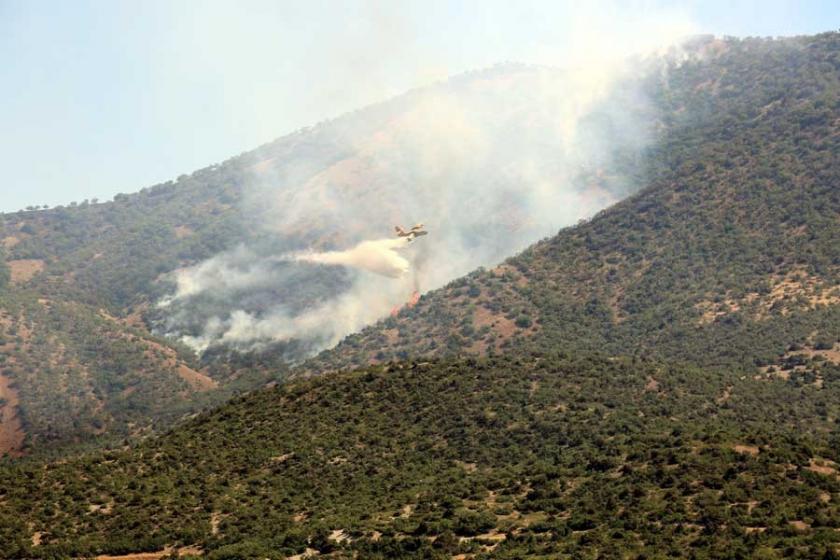 Dersim'de 3 gündür süren orman yangınına uçakla müdahale edildi