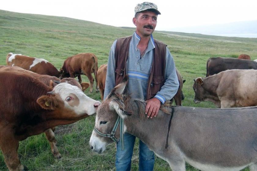 Kars'ta işkenceye maruz kalan eşekler koruma altında