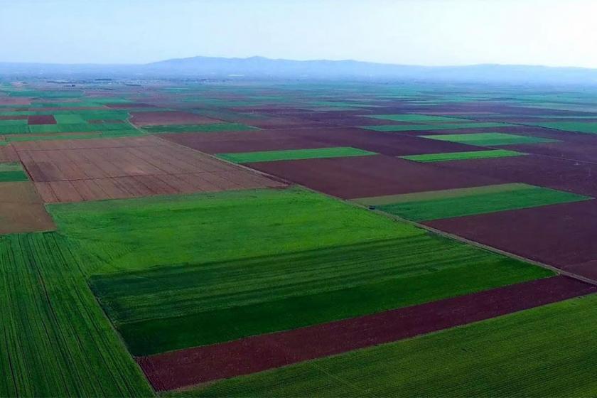 Tarım alanlarını yok eden yönetmeliğe Danıştay ‘dur’ dedi