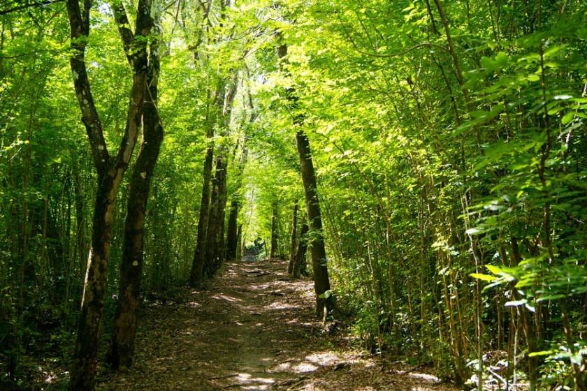 Kazdağları kıyısındaki tahribat Meclis gündeminde