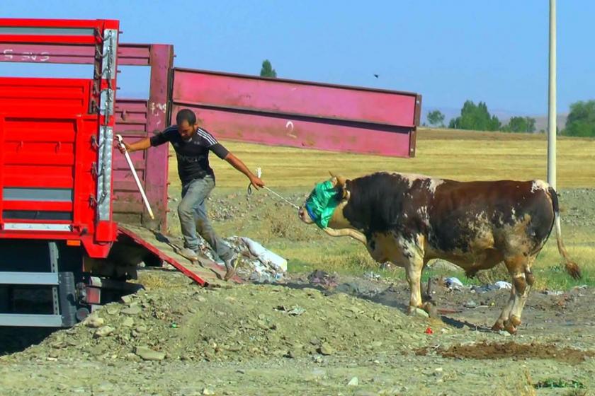 Bakanlıktan uygunsuz kurban kesim cezası açıklaması