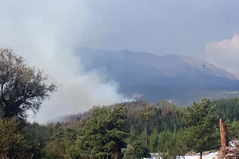 Kaş'ta çıkan orman yangını kontrol altına alındı