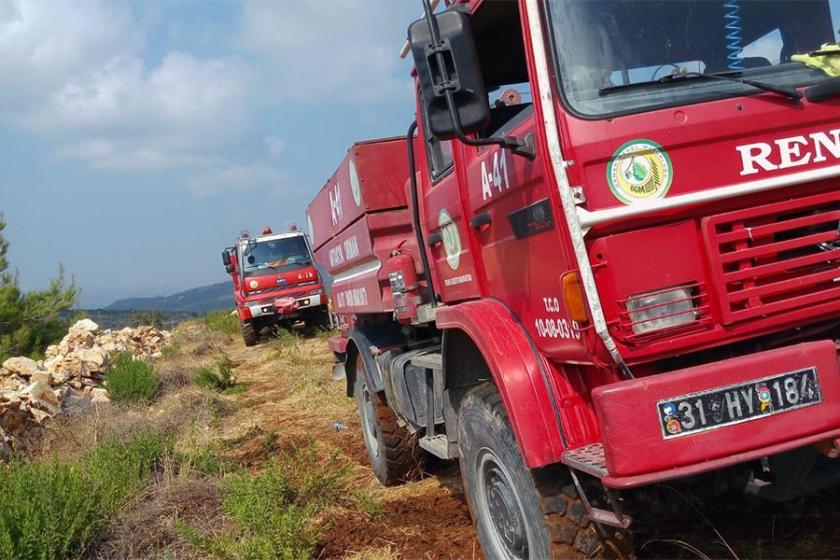 Hatay'da orman yangını