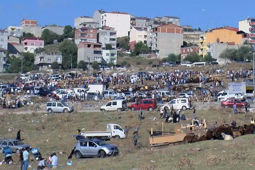 İstanbul’dan kaçak kurban kesimi manzaraları