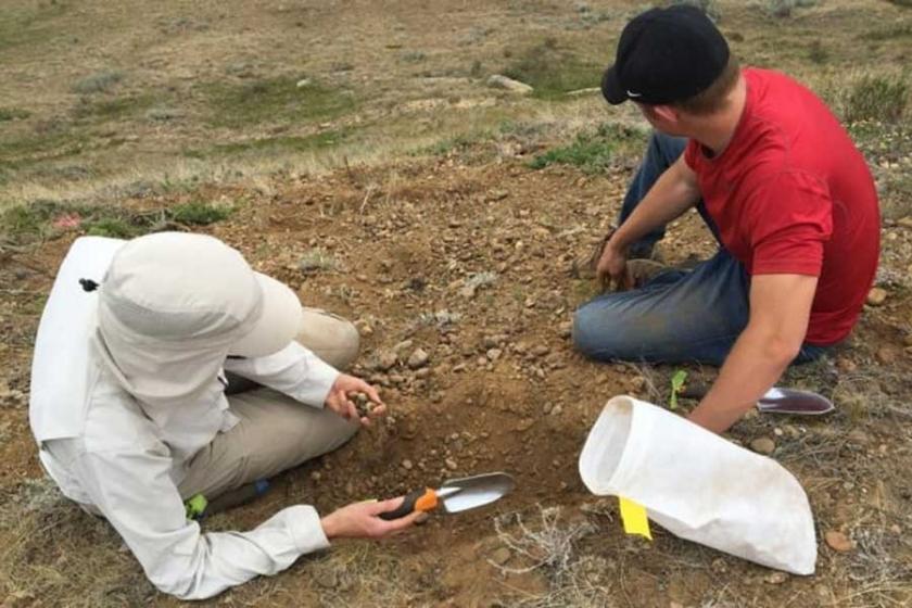 Kanada’da 23 milyon yıllık memeli fosilleri bulundu