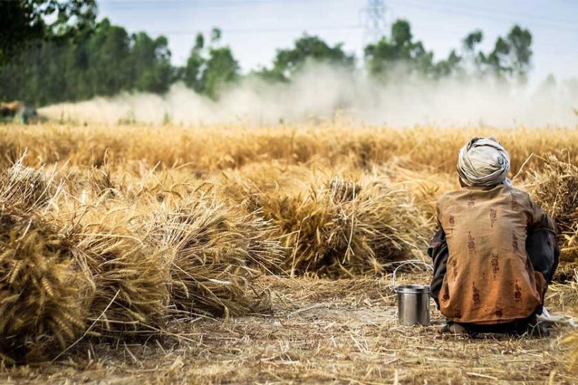 Tarımda acımasız kölelik düzeni: Agromafya