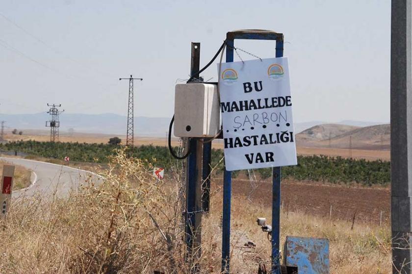 Bitlis Tabip Odası’ndan şarbon raporu: Derhal önlem alınsın