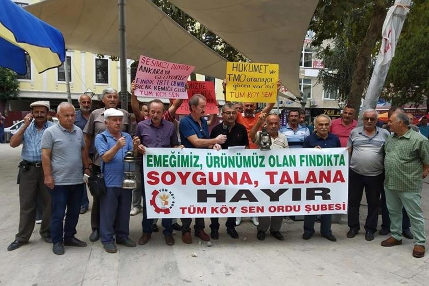 Fındık üreticileri talepleri için Ordu'dan Ankara'ya yürüyecek
