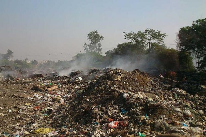 İslamabad’da keşfedilen plastik yiyen mantar çöp krizini çözebilir