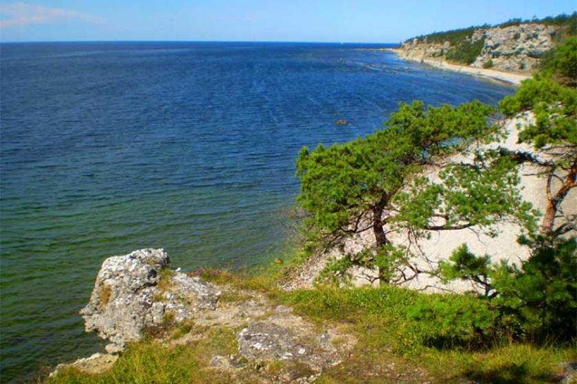 Maden şirketi Çanakkale’yi geçti İsveç ormanlarını geçemedi