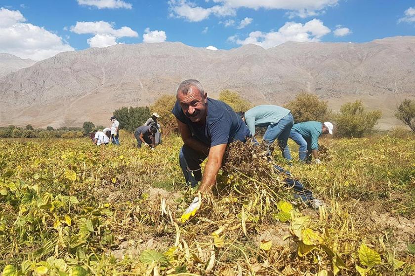 Ovacık Belediyesi Başkanı Maçoğlu, aday adaylığını duyurdu