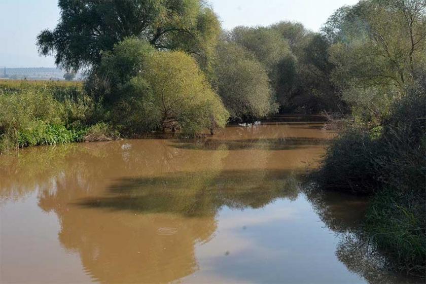 Gediz Deltası'nın geleceğini tehlikeye sokan karar iptal edildi