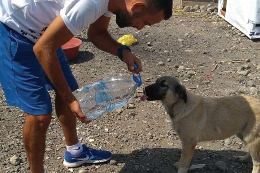 TBMM'de 'Hayvan Hakları Araştırma Komisyonu' sonunda kuruldu