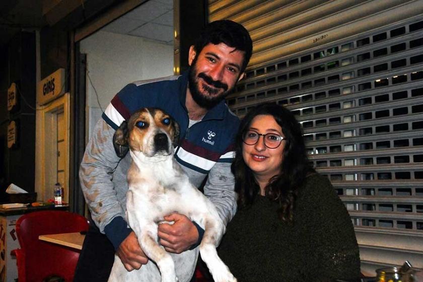 Sokak köpeklerini ninni söyleyerek uyutuyor