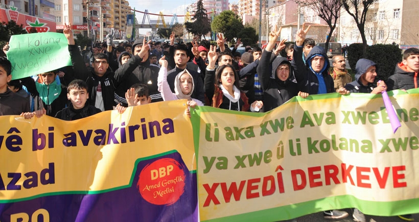 Diyarbakır'da 'doğamıza sahip çıkıyoruz' yürüyüşü
