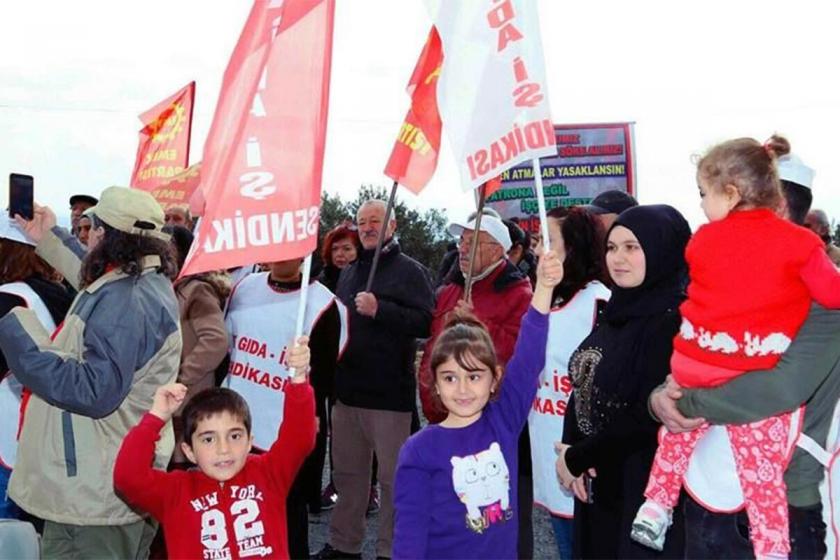 Grevlerin, direnişlerin masum ve güzel yüzleri