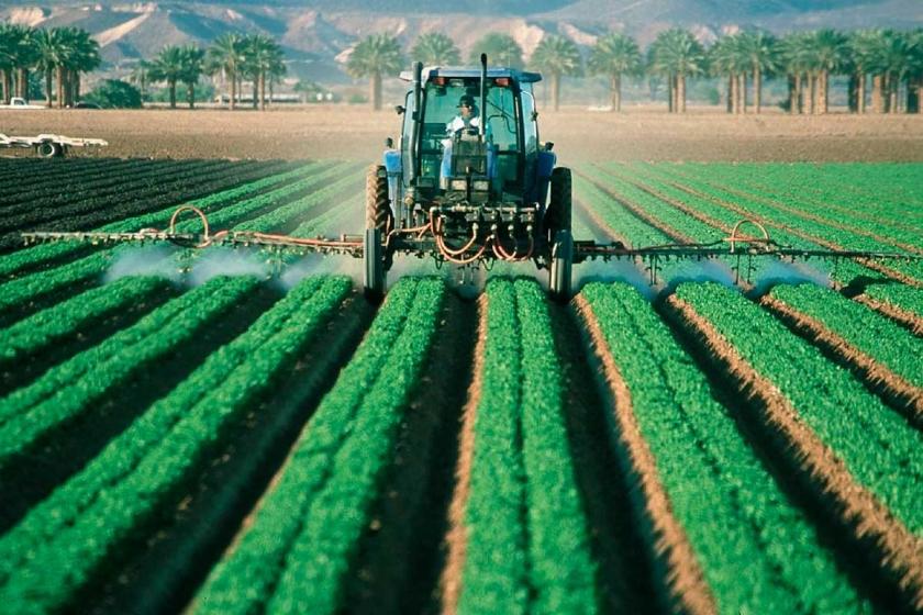 Ekoloji Birliği: Ovaları enerji alanına dönüştürmeye son verin