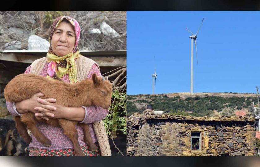 Karaburun'da kurulan RES'ler, kıl keçilerinin otlak alanlarını bitirdi