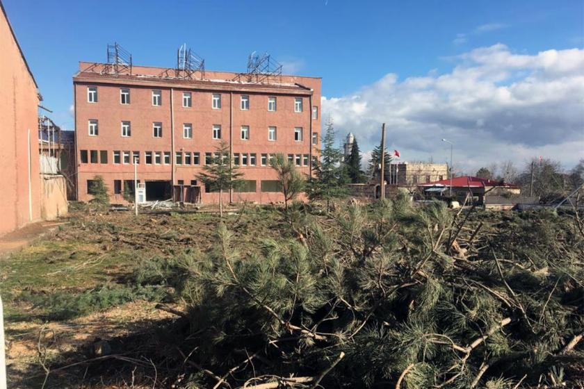 Elazığ’da yarım asırlık çınar ağaçları kesildi