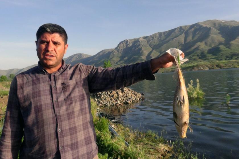 Sürgü Barajı'nda balık ölümleri ve koku tedirginliği