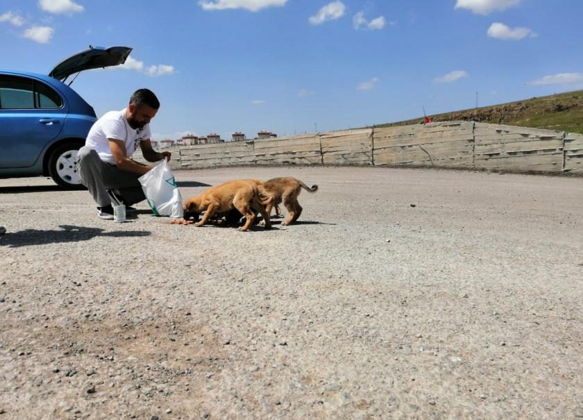 PADER Yönetim Kurulu Başkanı Alper Karmış: Cezasızlık hayvana şiddeti artırıyor