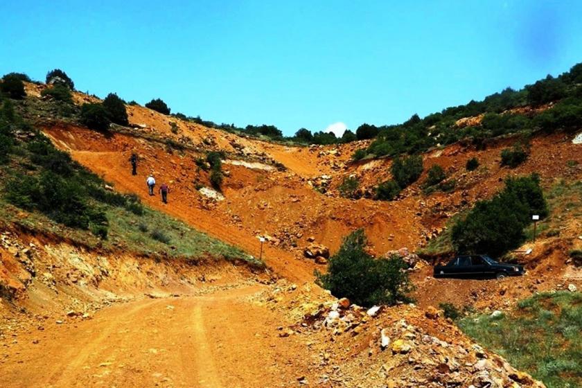 Eskişehir'de bozkırın ortasında maden uğruna 187 bin ağaç katledilecek