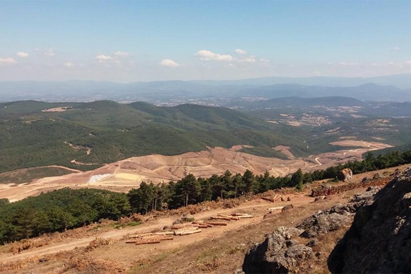 Çanakkale'de ağaç katliamının tehlikeli sonuçları ilk yağmurla gelecek