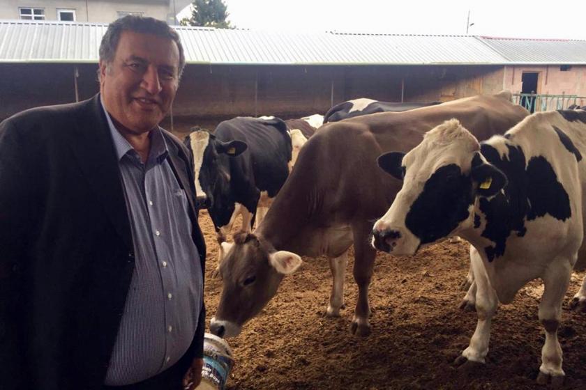 Süt üreticisi isyanda: Tarım ve hayvancılıktan anlayan bir bakan gelsin