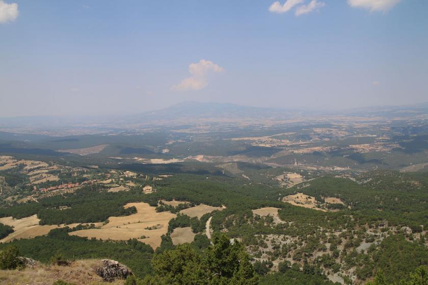 Murat Dağı’ndaki ardıç ağacı