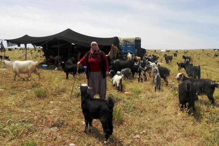 Toroslardan Kaz Dağları'na mesaj: Yasaları, makineleri olanlardan daha güçlüyüz