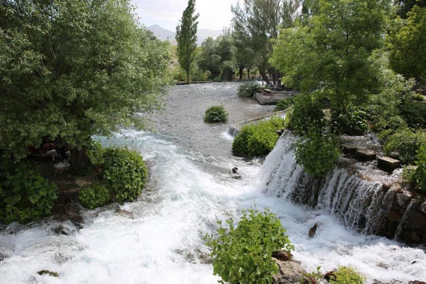 Munzur için ortak karar: Canlı türlerinin yaşaması için arıtmaya ihtiyaç var