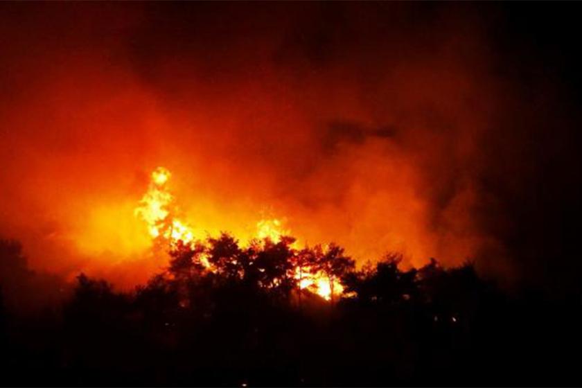 Bursa Gürsu’da ormanlık alanda yangın çıktı, yangın söndürüldü