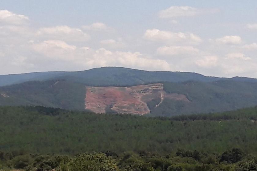 kaz dağı eteklerindeki doğa katliamı